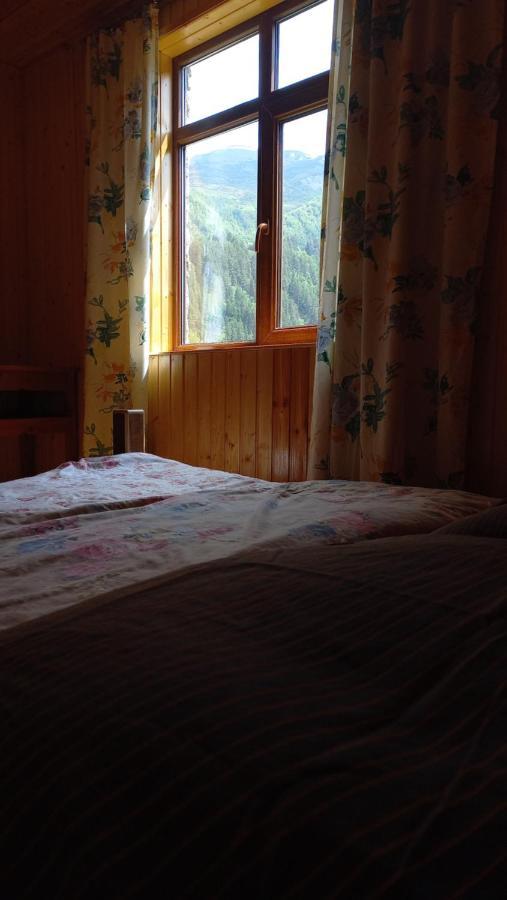 Guest House Elisabeth Adishi Eksteriør bilde